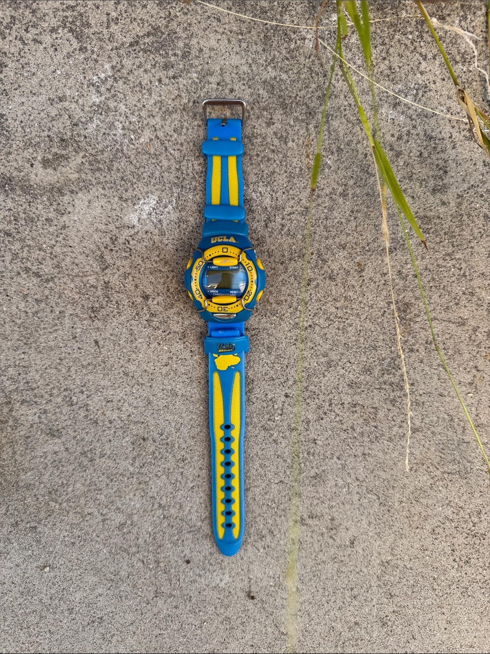 UCLA Blue and Yellow Digital Sports Watch
